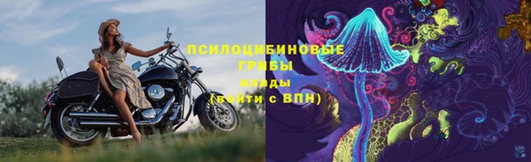 таблы Горняк