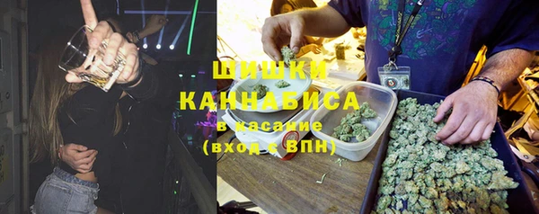 не бодяженный Горно-Алтайск