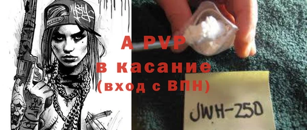 не бодяженный Горно-Алтайск