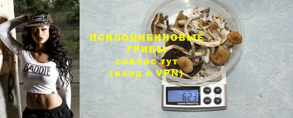 таблы Горняк