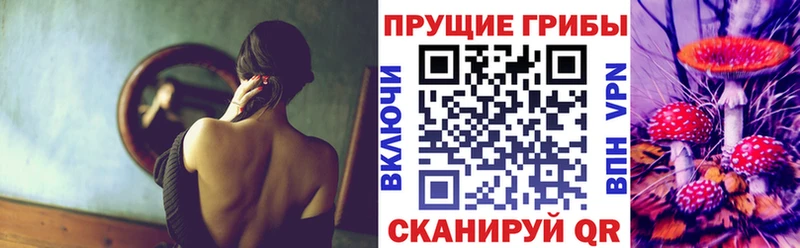 магазин продажи   Мценск  Псилоцибиновые грибы мухоморы 